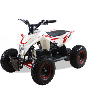 Квадроцикл Motax GEKKON 1300W