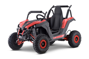 Багги электрический SCANMOTO COBRA
