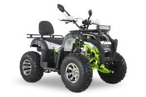 Квадроцикл ATV R-moto Lion 200