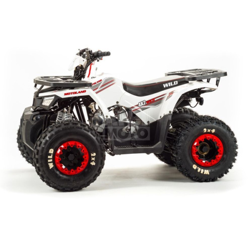 Квадроцикл Wild 125A Квадроцикл Wild 125A