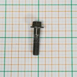 Болт прогрессии M10x1.25x45 FX250 Болт прогрессии M10x1.25x45 FX250