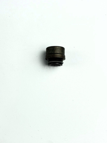 Колпачок маслосъемный ZS174MN-3,ZS177MM (NC) Колпачок маслосъемный ZS174MN-3,ZS177MM (NC)