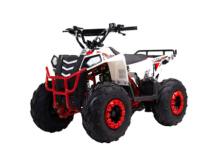 Квадроцикл ATV WELS Thunder Evo.M 110